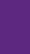 13 purple sm
